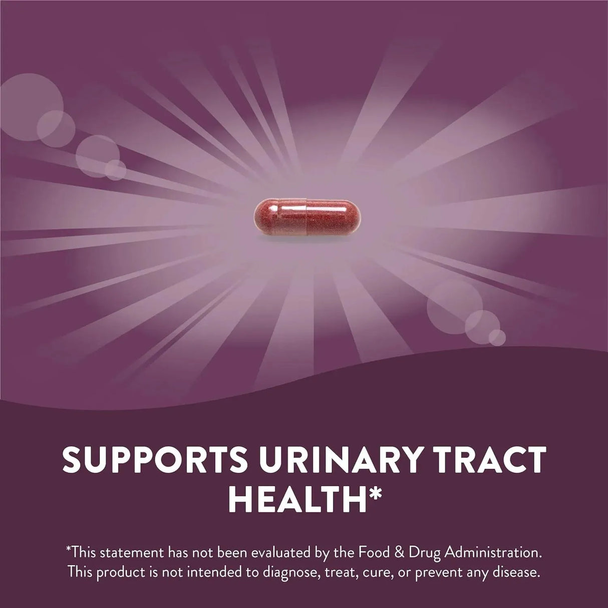 NATURE'S WAY - Nature's Way Premium Cranberry 400Mg. 120 Capsulas - The Red Vitamin MX - Suplementos Alimenticios - {{ shop.shopifyCountryName }}