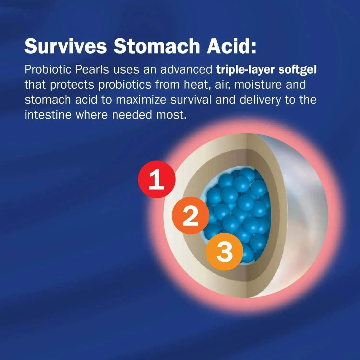 NATURE'S WAY - Nature's Way Probiotic Pearls Complete 90 Capsulas Blandas - The Red Vitamin MX - Suplementos Alimenticios - {{ shop.shopifyCountryName }}