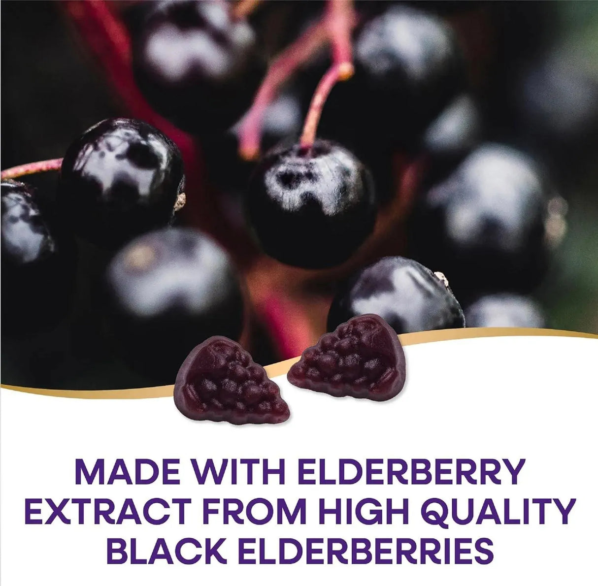 NATURE'S WAY - Nature's Way Sambucus Elderberry 60 Gomitas - The Red Vitamin MX - Suplementos Alimenticios - {{ shop.shopifyCountryName }}