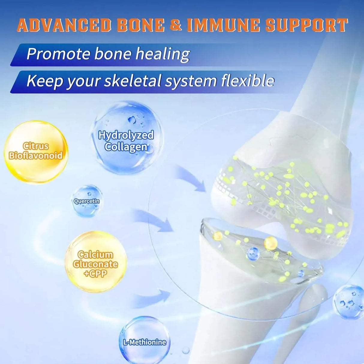 NATURE TARGET - Nature Target Glucosamine Chondroitin MSM 120 Capsulas - The Red Vitamin MX - Suplementos Alimenticios - {{ shop.shopifyCountryName }}