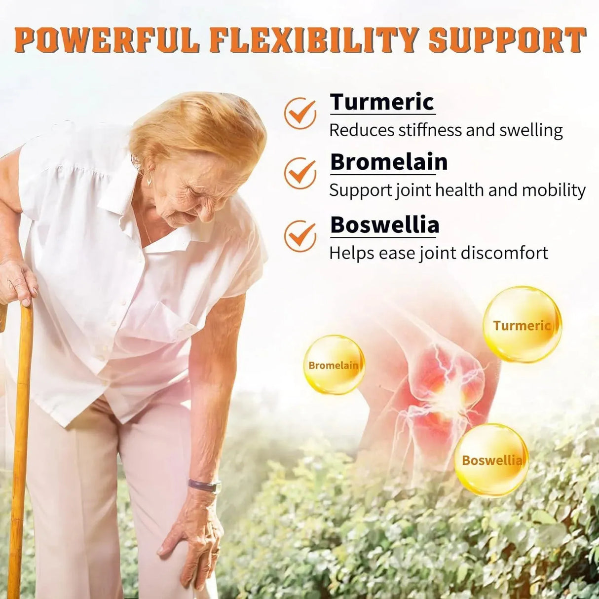 NATURE TARGET - Nature Target Glucosamine Chondroitin MSM 120 Capsulas - The Red Vitamin MX - Suplementos Alimenticios - {{ shop.shopifyCountryName }}