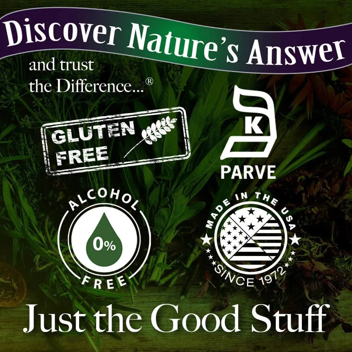 NATURE´S ANSWER - Nature's Answer Alcohol-Free Eleuthero Root 2000Mg. 2 Fl. Oz. - The Red Vitamin MX - Suplementos Alimenticios - {{ shop.shopifyCountryName }}