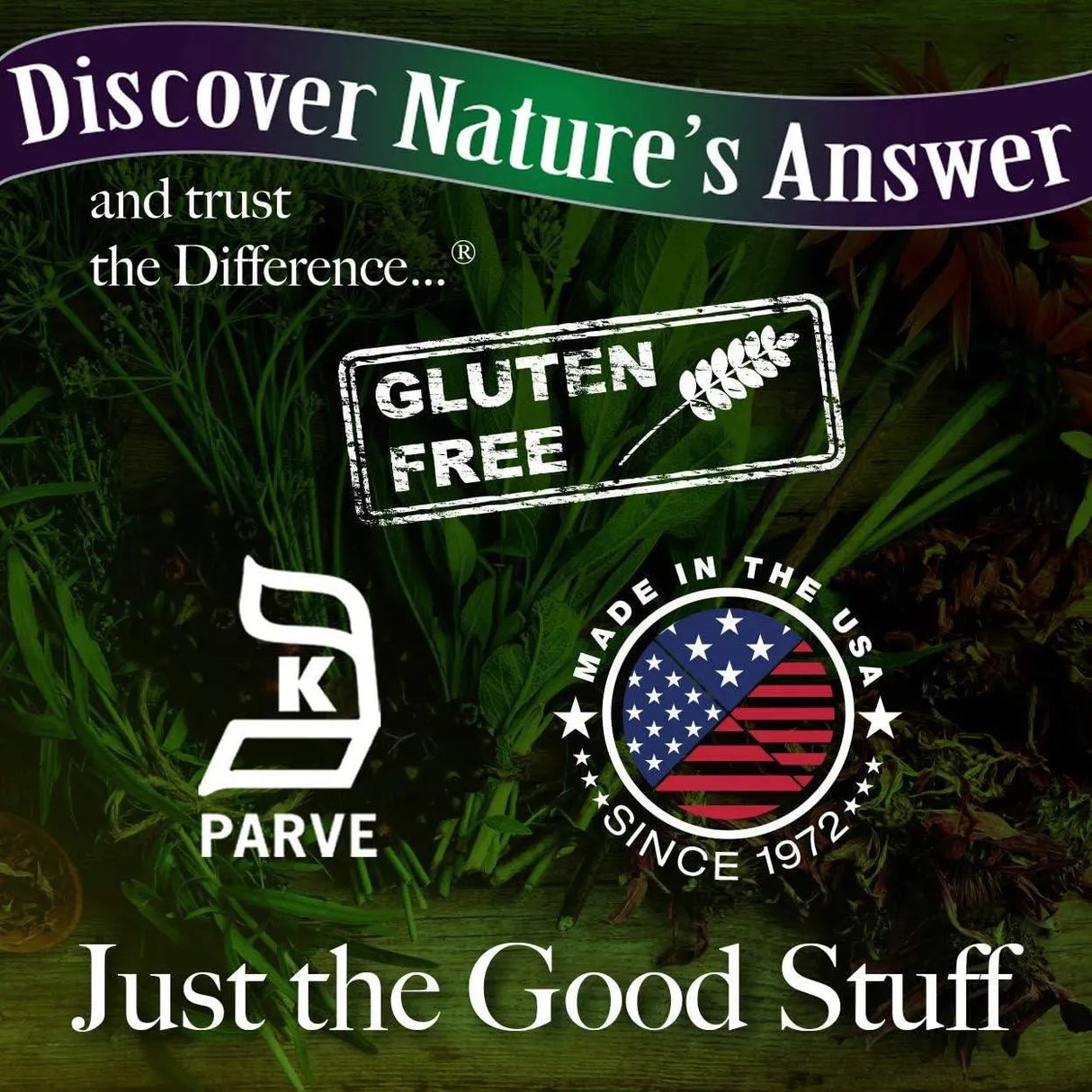 NATURE´S ANSWER - Nature's Answer Burdock Root Extract 2 Fl.Oz. - The Red Vitamin MX - Suplementos Alimenticios - {{ shop.shopifyCountryName }}