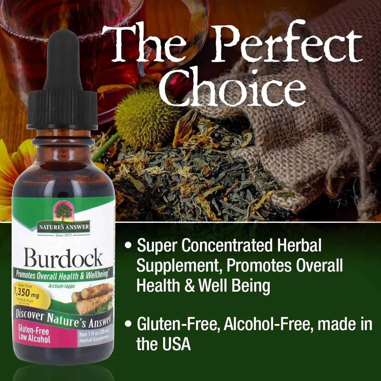 NATURE´S ANSWER - Nature's Answer Burdock Root with Organic Alcohol 1 Fl.Oz. - The Red Vitamin MX - Suplementos Alimenticios - {{ shop.shopifyCountryName }}