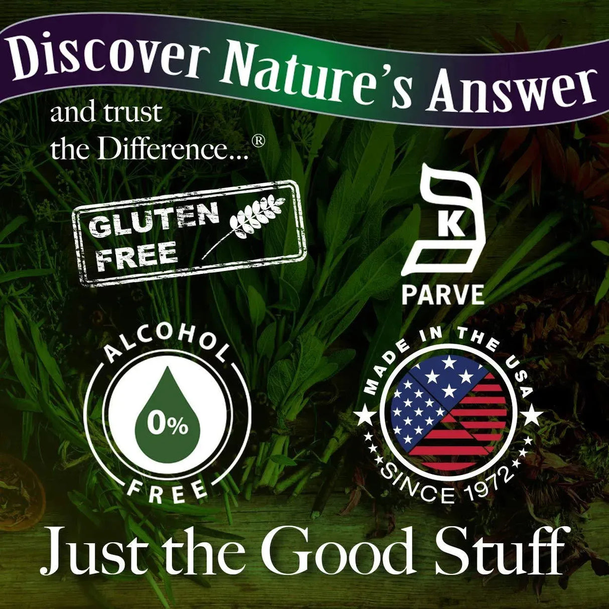 NATURE´S ANSWER - Nature's Answer Burdock Root with Organic Alcohol 1 Fl.Oz. - The Red Vitamin MX - Suplementos Alimenticios - {{ shop.shopifyCountryName }}