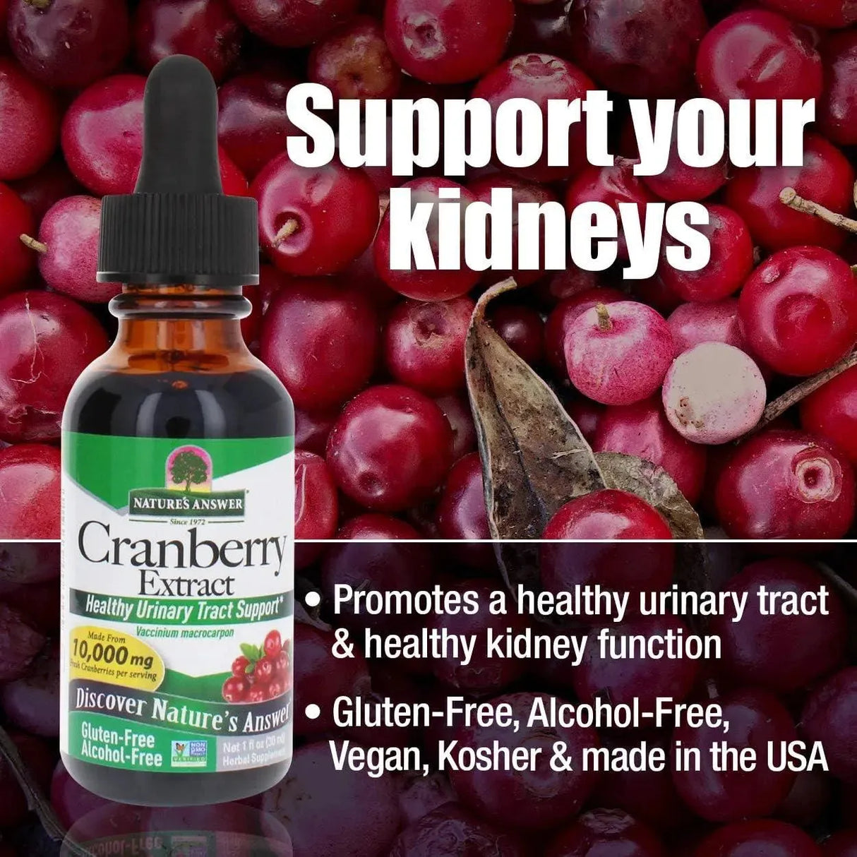 NATURE´S ANSWER - Nature's Answer Cranberry Extract 10000Mg. 30Ml. - The Red Vitamin MX - Suplementos Alimenticios - {{ shop.shopifyCountryName }}