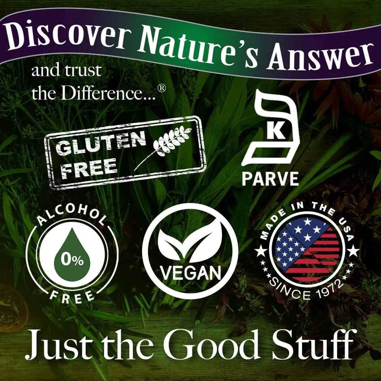 NATURE´S ANSWER - Nature's Answer Cranberry Extract 10000Mg. 30Ml. - The Red Vitamin MX - Suplementos Alimenticios - {{ shop.shopifyCountryName }}