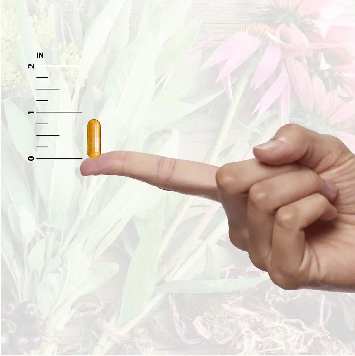 NATURE´S ANSWER - Nature's Answer Dandelion Root 1260Mg. 90 Capsulas - The Red Vitamin MX - Suplementos Alimenticios - {{ shop.shopifyCountryName }}