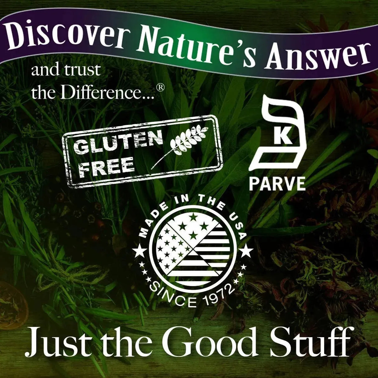 NATURE´S ANSWER - Nature's Answer Dandelion Root with Low Organic Alcohol 2000Mg. 1 Fl.Oz. - The Red Vitamin MX - Suplementos Alimenticios - {{ shop.shopifyCountryName }}