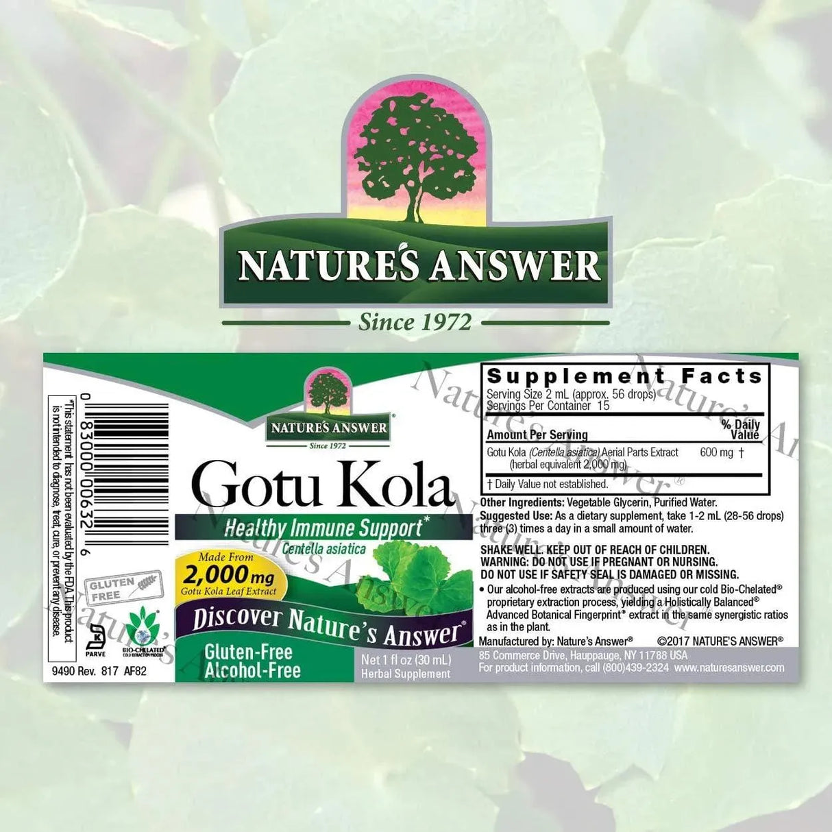 NATURE´S ANSWER - Nature's Answer Gotu Kola Herb 1 Fl.Oz. - The Red Vitamin MX - Suplementos Alimenticios - {{ shop.shopifyCountryName }}