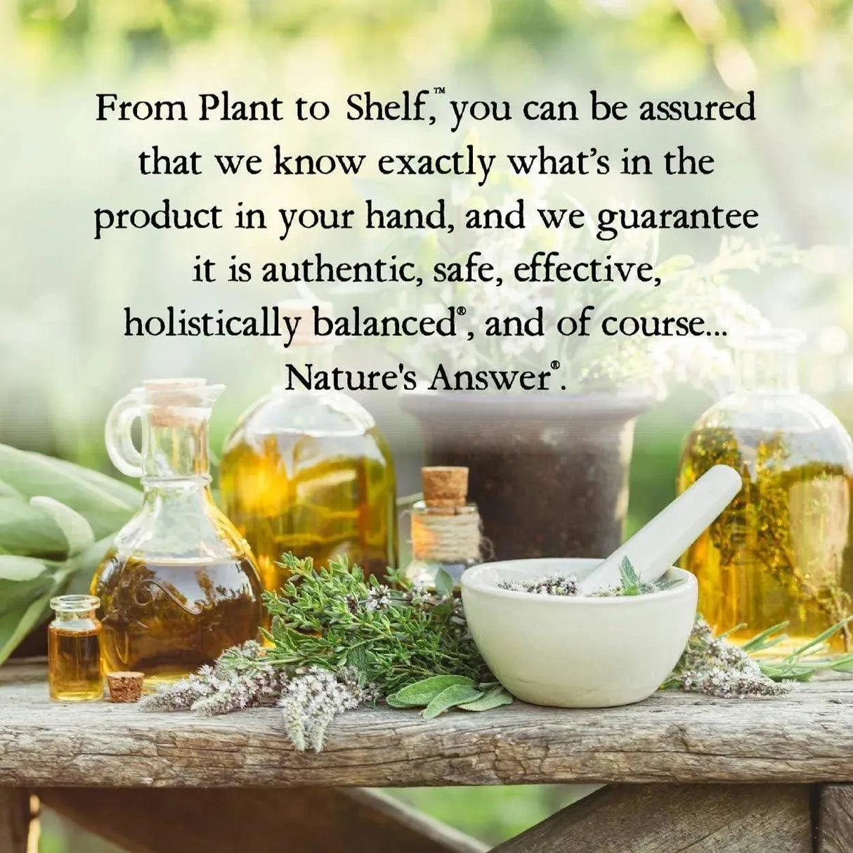 NATURE´S ANSWER - Nature's Answer St. John's Wort Alcohol-Free Liquid Extract 30Ml. - The Red Vitamin MX - Suplementos Alimenticios - {{ shop.shopifyCountryName }}