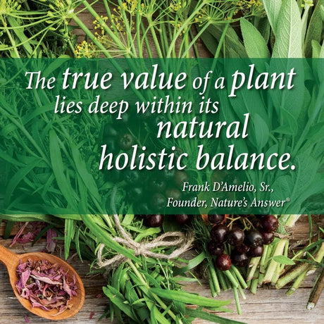 NATURE´S ANSWER - Nature's Answer St. John's Wort Alcohol-Free Liquid Extract 30Ml. - The Red Vitamin MX - Suplementos Alimenticios - {{ shop.shopifyCountryName }}