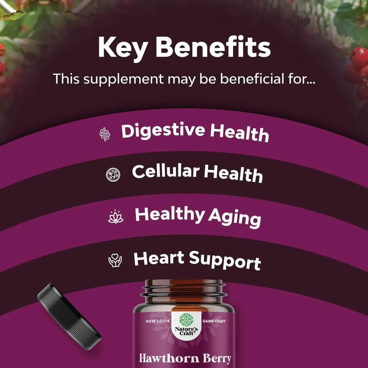 NATURES CRAFT - Natures Craft Extra Strength Hawthorn Berry Capsules 1330Mg. 240 Capsulas - The Red Vitamin MX - Suplementos Alimenticios - {{ shop.shopifyCountryName }}