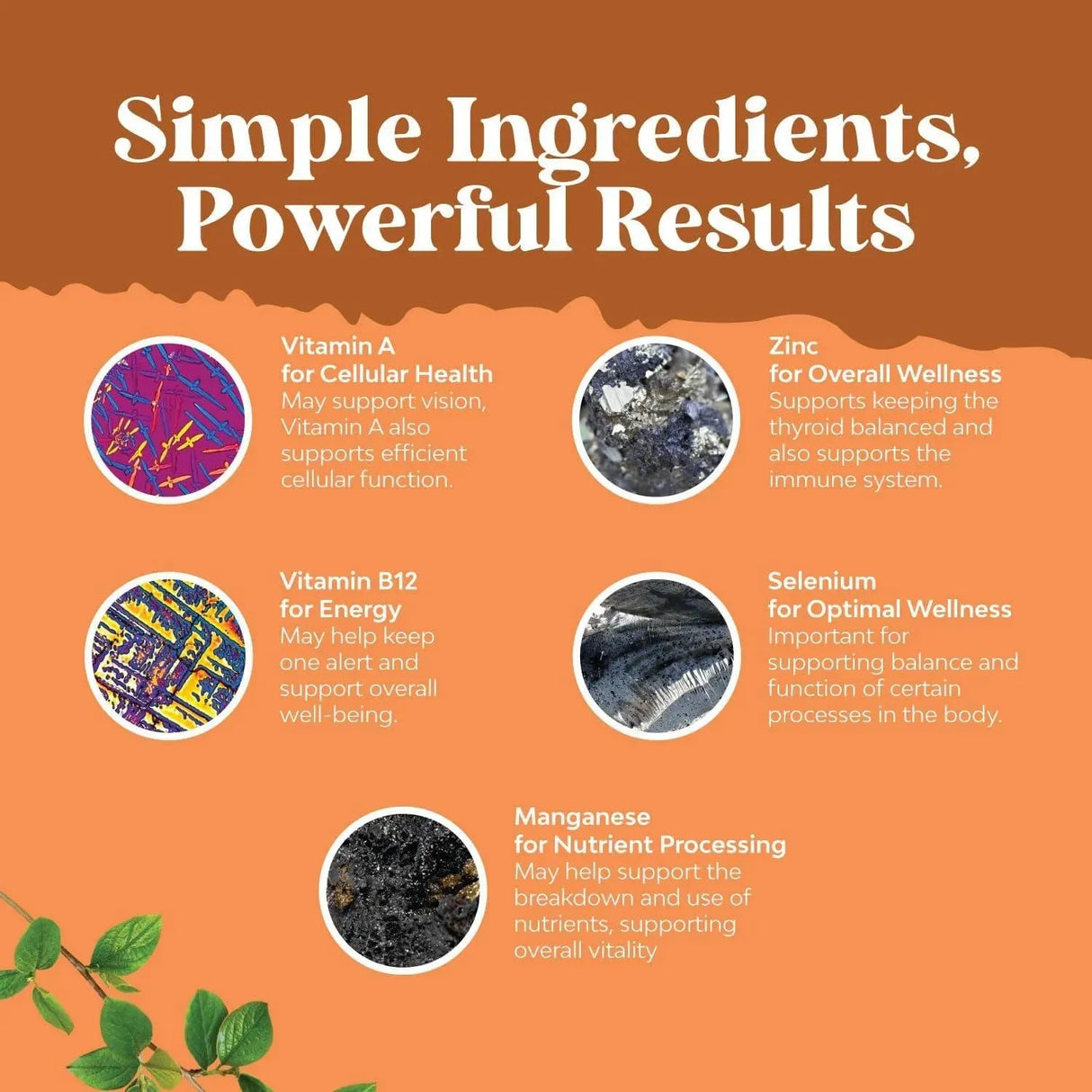 NATURES CRAFT - Natures Craft High Absorption Thyroid Support 120Ml. - The Red Vitamin MX - Suplementos Alimenticios - {{ shop.shopifyCountryName }}