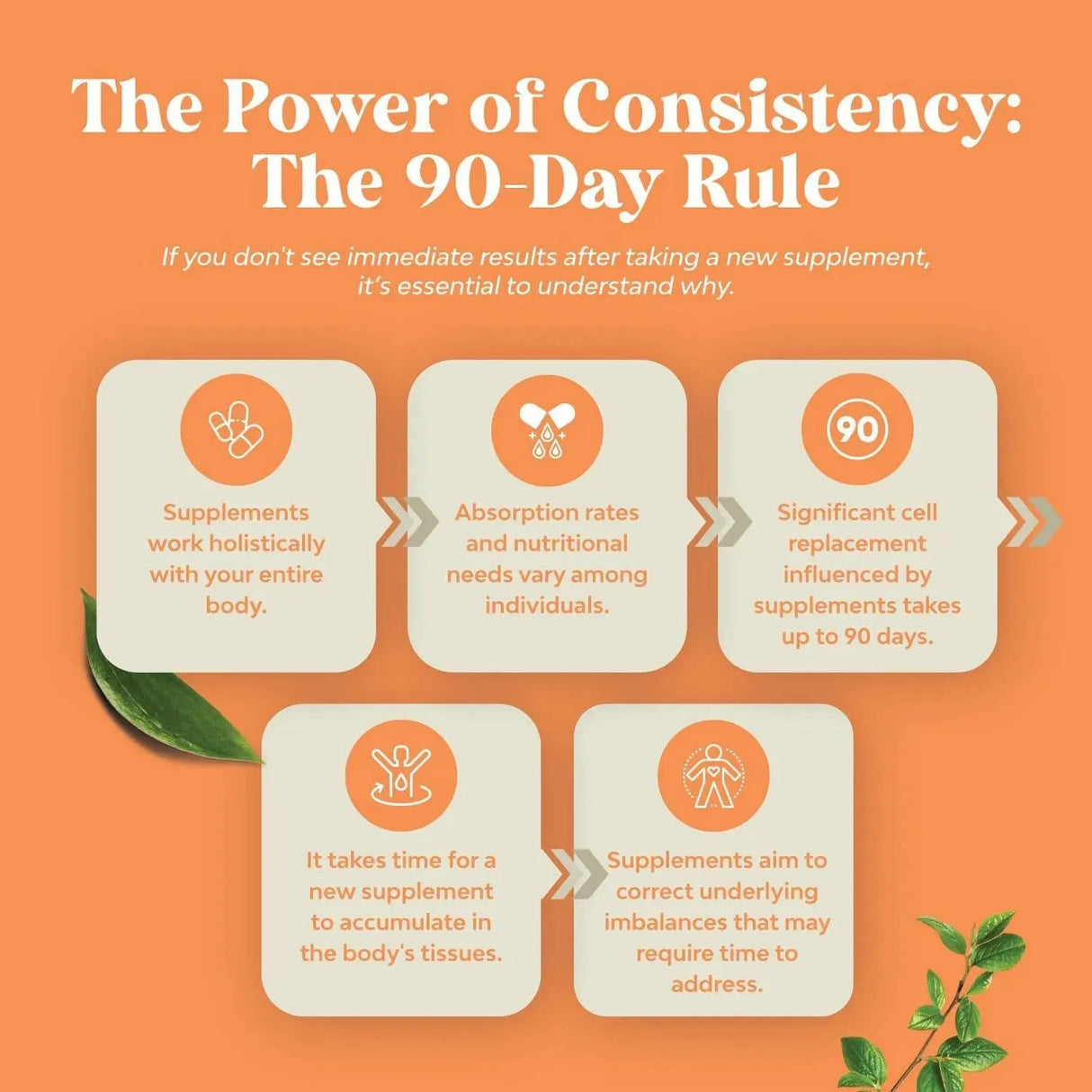 NATURES CRAFT - Natures Craft High Absorption Thyroid Support 120Ml. - The Red Vitamin MX - Suplementos Alimenticios - {{ shop.shopifyCountryName }}