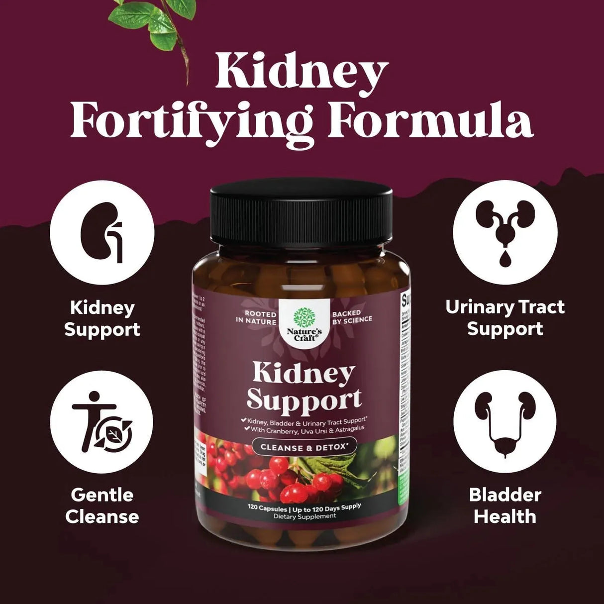 NATURES CRAFT - Natures Craft Kidney Support 120 Capsulas - The Red Vitamin MX - Suplementos Alimenticios - {{ shop.shopifyCountryName }}