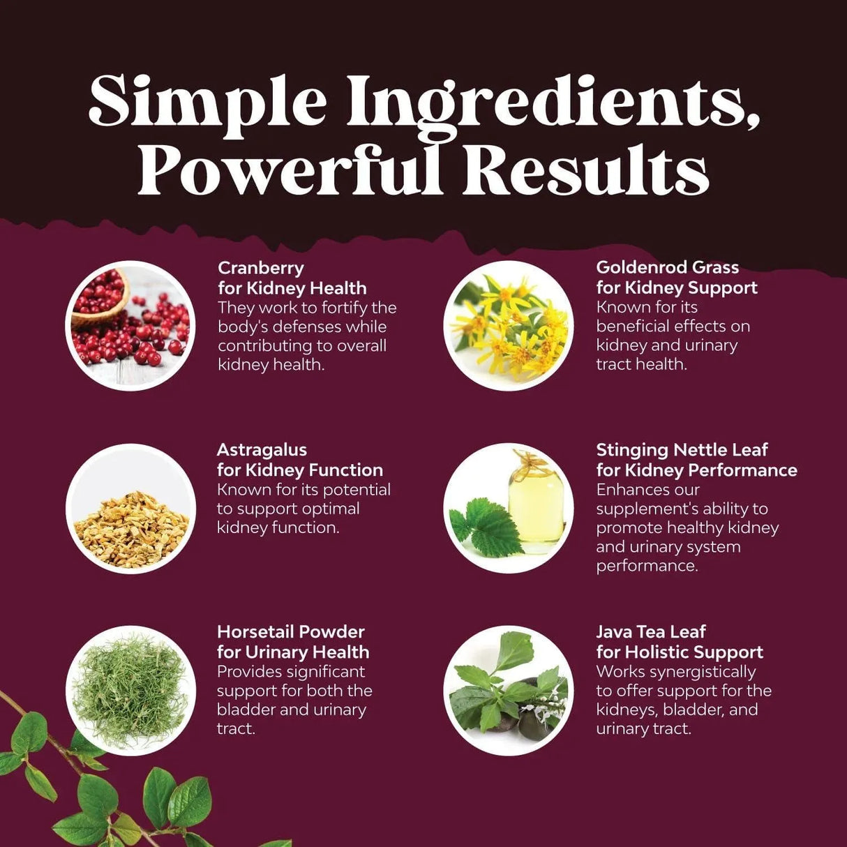 NATURES CRAFT - Natures Craft Kidney Support 120 Capsulas - The Red Vitamin MX - Suplementos Alimenticios - {{ shop.shopifyCountryName }}