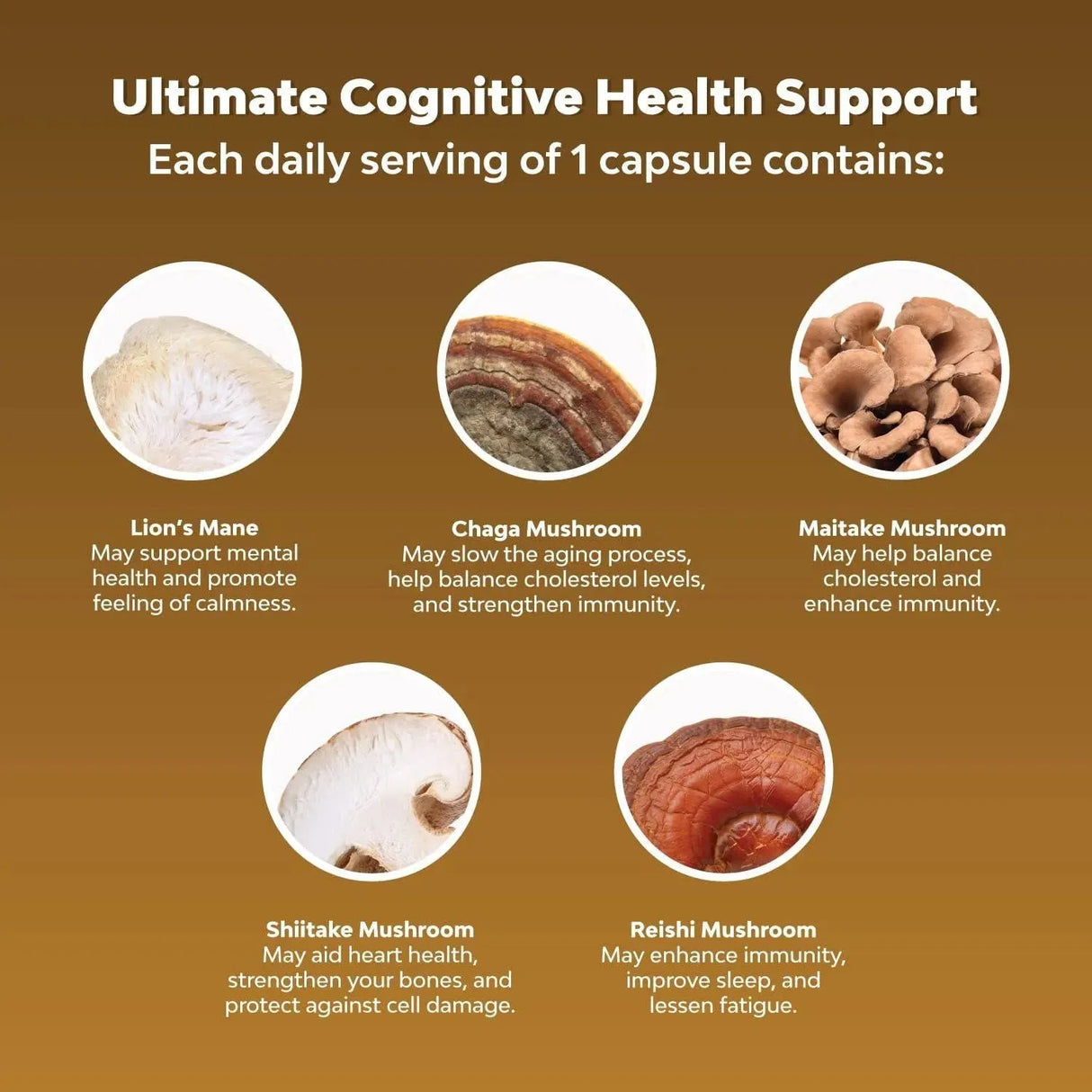 NATURES CRAFT - Natures Craft Lion's Mane Mushroom Supplement 30 Capsulas - The Red Vitamin MX - Suplementos Alimenticios - {{ shop.shopifyCountryName }}