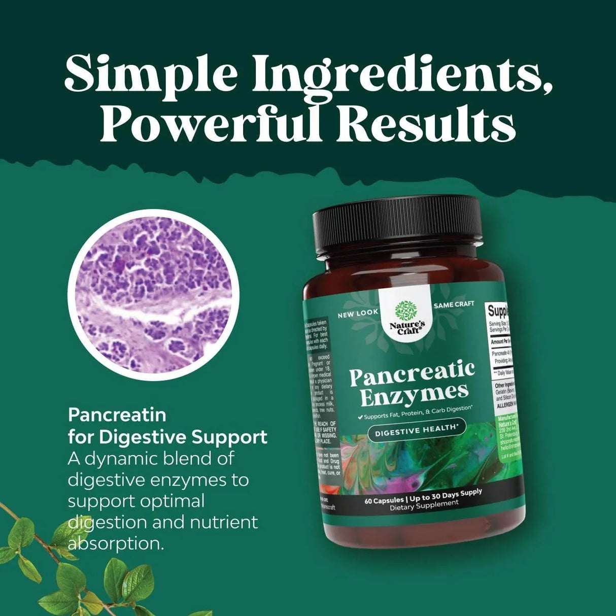 NATURES CRAFT - Natures Craft Pancreatin Digestive Enzymes 60 Capsulas - The Red Vitamin MX - Suplementos Alimenticios - {{ shop.shopifyCountryName }}