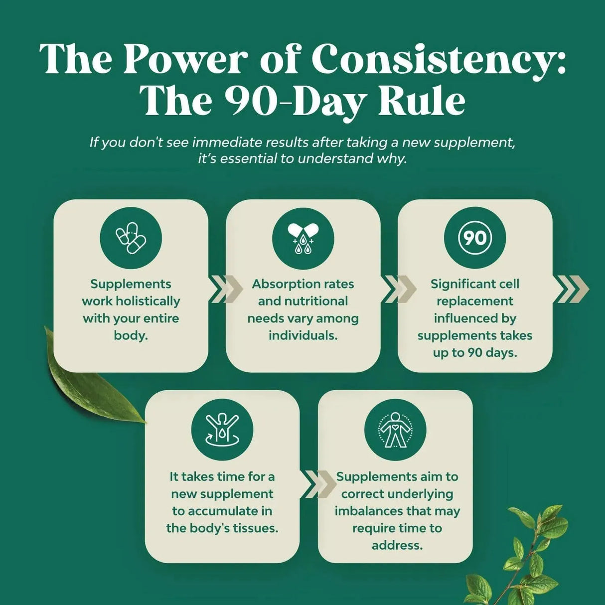 NATURES CRAFT - Natures Craft Pancreatin Digestive Enzymes 60 Capsulas - The Red Vitamin MX - Suplementos Alimenticios - {{ shop.shopifyCountryName }}