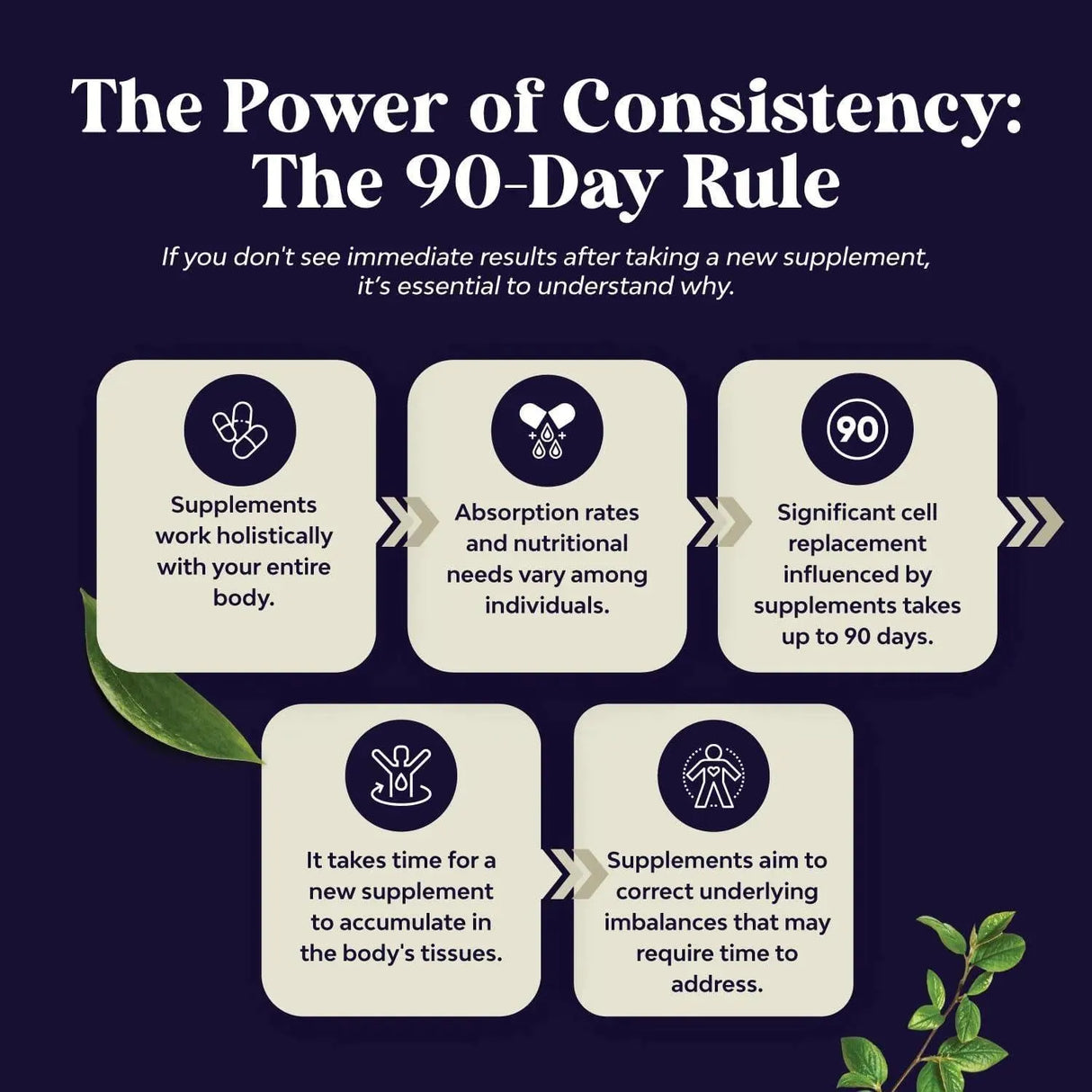 NATURES CRAFT - Natures Craft Vegan Black Seed Oil 120 Capsulas - The Red Vitamin MX - Suplementos Alimenticios - {{ shop.shopifyCountryName }}