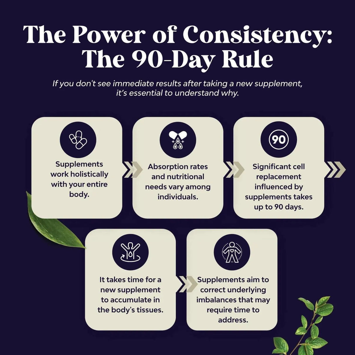 NATURES CRAFT - Natures Craft Vegan Black Seed Oil 60 Capsulas - The Red Vitamin MX - Suplementos Alimenticios - {{ shop.shopifyCountryName }}