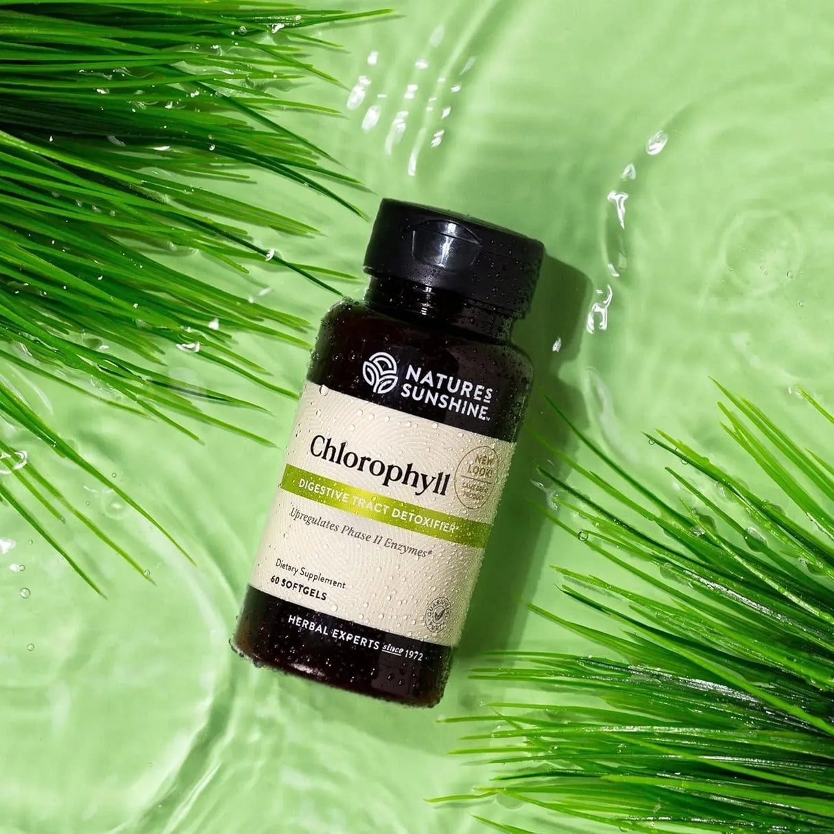 NATURES SUNSHINE - Nature's Sunshine Chlorophyll 60 Capsulas Blandas - The Red Vitamin MX - Suplementos Alimenticios - {{ shop.shopifyCountryName }}