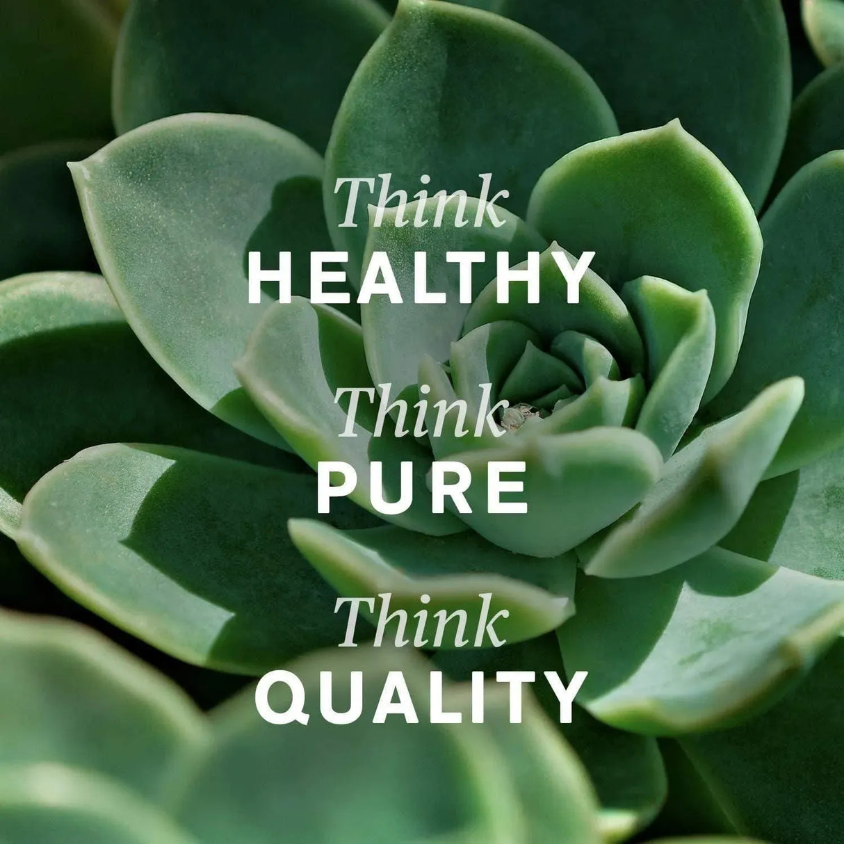 NATURES SUNSHINE - Nature's Sunshine Digestive Enzymes 120 Capsulas - The Red Vitamin MX - Suplementos Alimenticios - {{ shop.shopifyCountryName }}