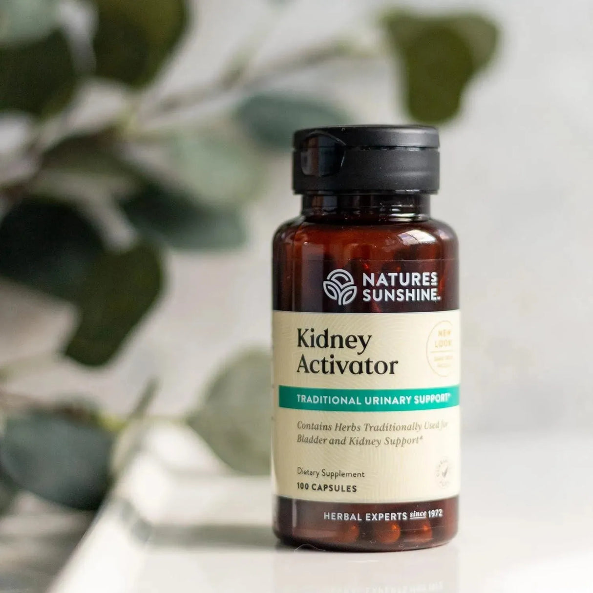 NATURES SUNSHINE - Nature's Sunshine Kidney Activator 100 Capsulas - The Red Vitamin MX - Suplementos Alimenticios - {{ shop.shopifyCountryName }}