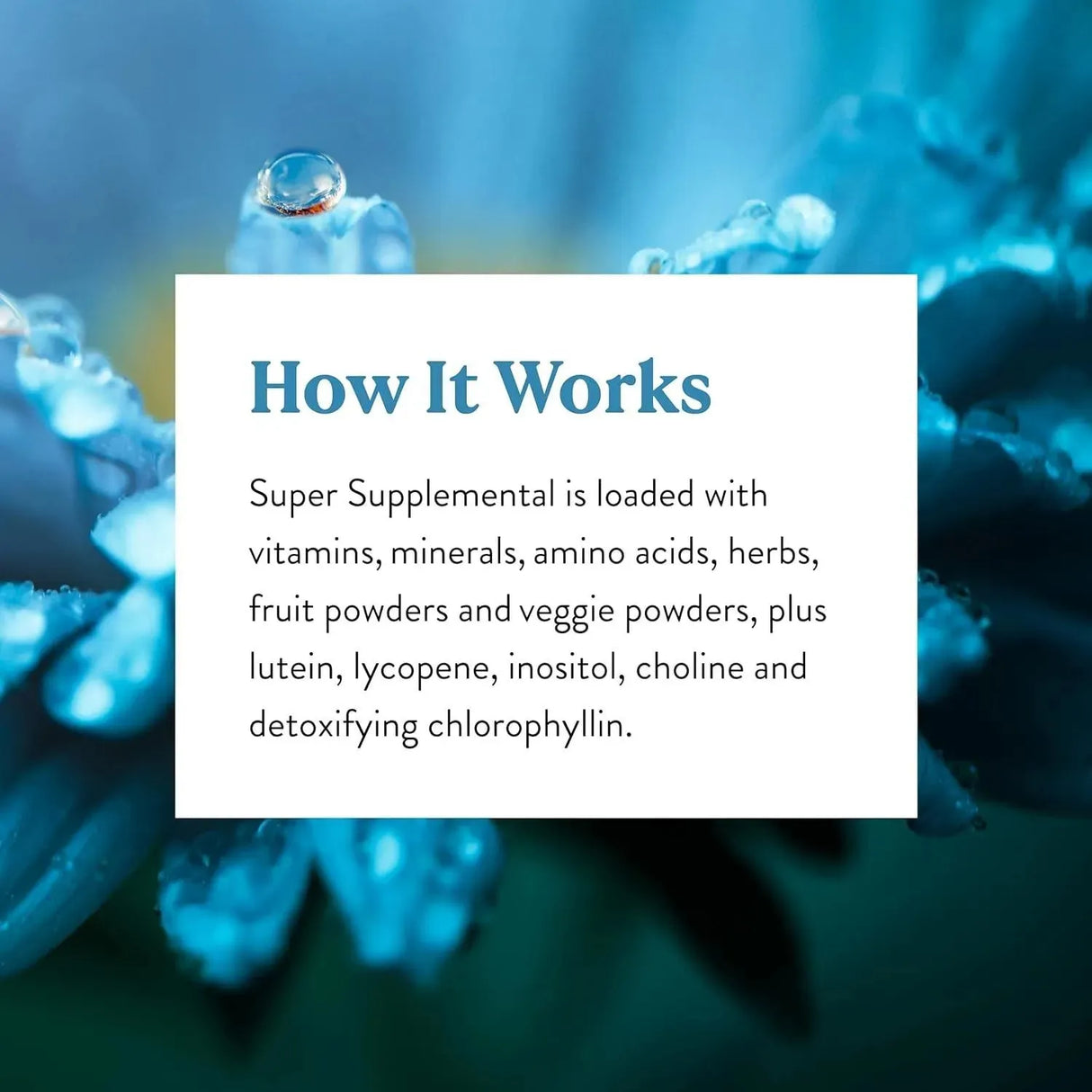 NATURES SUNSHINE - Nature's Sunshine Super Supplemental With Iron 120 Tabletas - The Red Vitamin MX - Suplementos Alimenticios - {{ shop.shopifyCountryName }}