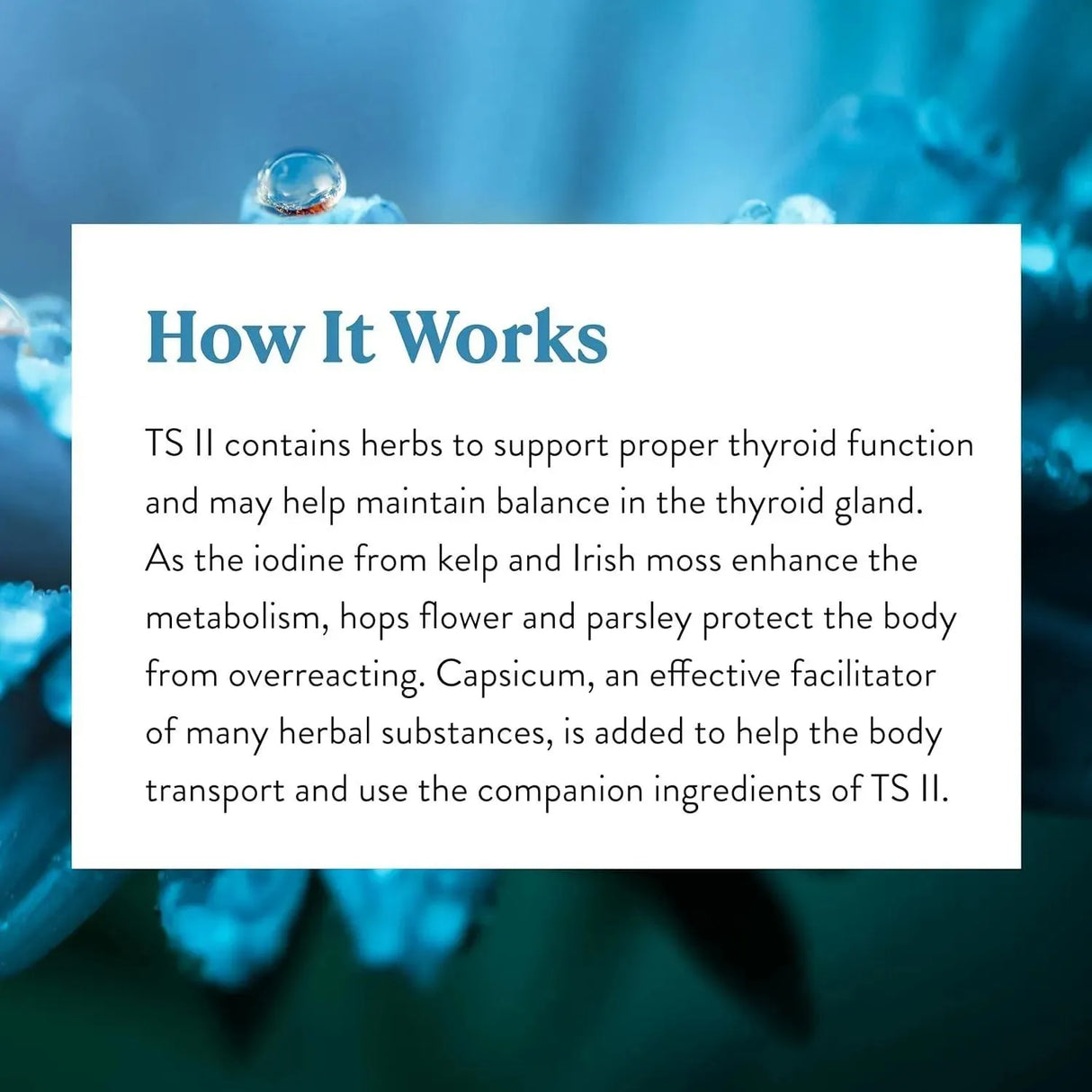 NATURES SUNSHINE - Nature's Sunshine TS II Supports Proper Thyroid Function 100 Capsulas - The Red Vitamin MX - Suplementos Alimenticios - {{ shop.shopifyCountryName }}