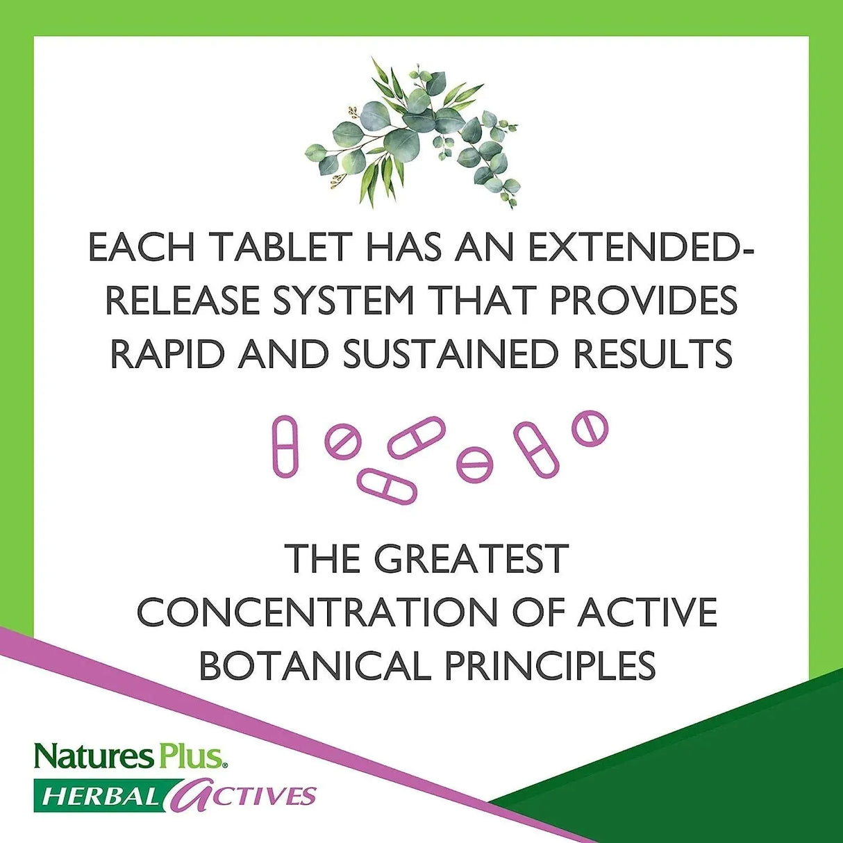 NATURES PLUS - NaturesPlus Herbal Actives Hawthorne 300Mg. 30 Tabletas - The Red Vitamin MX - Suplementos Alimenticios - {{ shop.shopifyCountryName }}