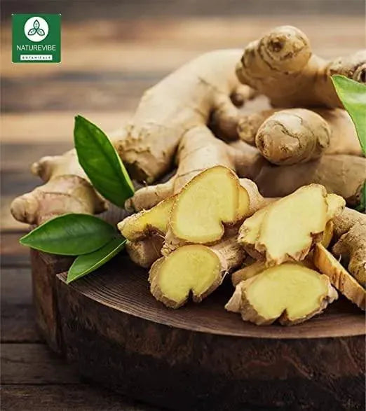NATUREVIBE BOTANICALS - Naturevibe Botanicals Premium Ginger Root Powder 5 Lbs. - The Red Vitamin MX - Suplementos Alimenticios - {{ shop.shopifyCountryName }}