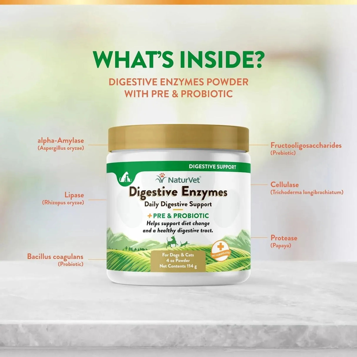 NATURVET - NaturVet Digestive Enzymes for Dogs Plus Probiotics & Prebiotics 114Gr. - The Red Vitamin MX - Probióticos Para Perros - {{ shop.shopifyCountryName }}