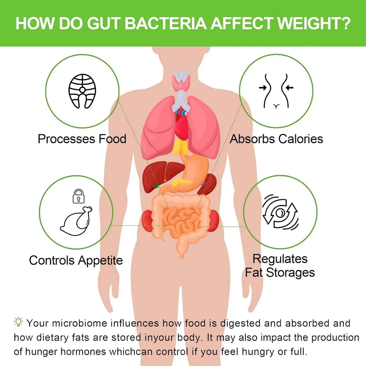 NEGIMA - Negima 300 Billion CFUs Probiotic 60 Capsulas - The Red Vitamin MX - Suplementos Alimenticios - {{ shop.shopifyCountryName }}