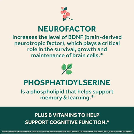 NEURIVA - NEURIVA Ultra Decaffeinated Clinically Tested Nootropic Brain Supplement 60 Capsulas - The Red Vitamin MX - Suplementos Alimenticios - {{ shop.shopifyCountryName }}