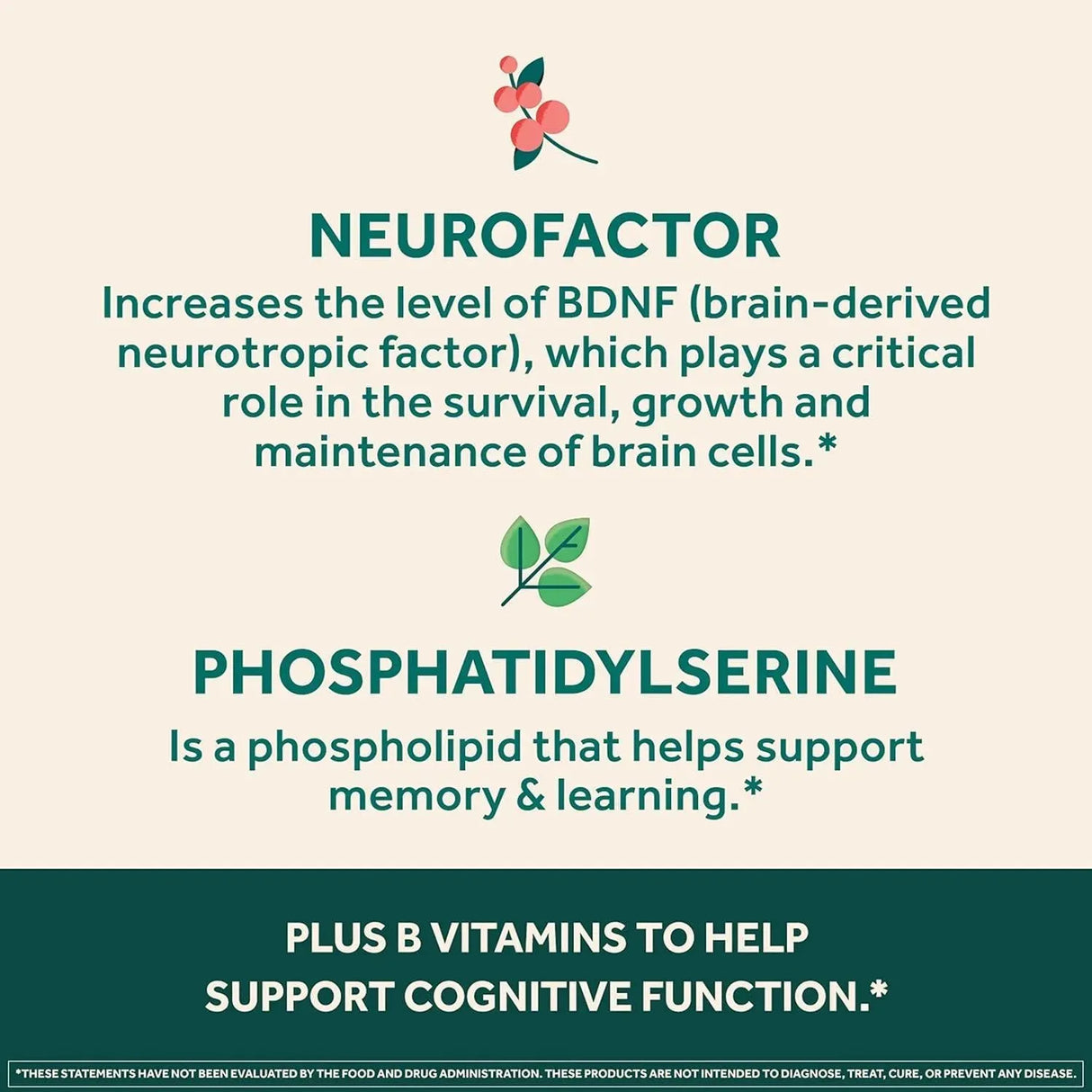 NEURIVA - Neuriva Ultra Decaffeinated Nootropic Brain Supplement 60 Capsulas - The Red Vitamin MX - Suplementos Alimenticios - {{ shop.shopifyCountryName }}