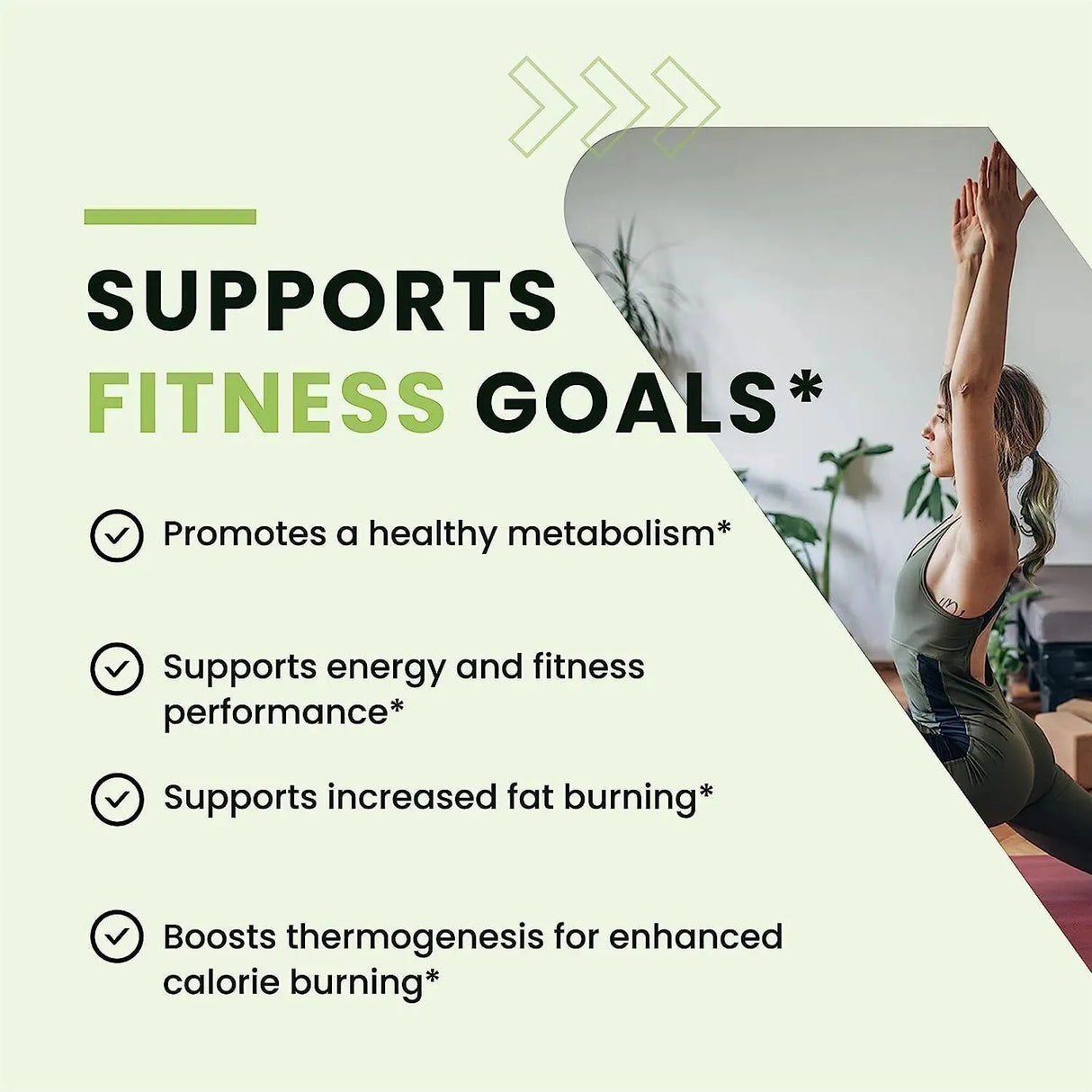 NOBI NUTRITION - Nobi Nutrition Green Tea Weight Loss Pills 60 Capsulas - The Red Vitamin MX - Suplementos Alimenticios - {{ shop.shopifyCountryName }}