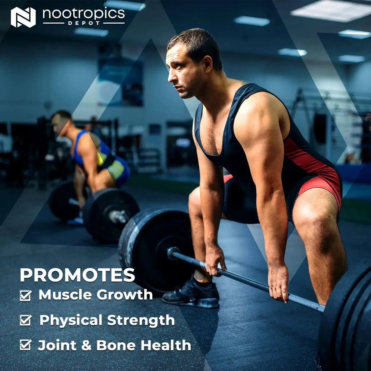 NOOTROPICS DEPOT - Nootropics Depot Beta Ecdysterone 500Mg. 30 Capsulas - The Red Vitamin MX - Suplementos Alimenticios - {{ shop.shopifyCountryName }}