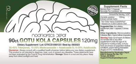 NOOTROPICS DEPOT - Nootropics Depot Gotu Kola Extract 120Mg. 90 Capsulas - The Red Vitamin MX - Suplementos Alimenticios - {{ shop.shopifyCountryName }}
