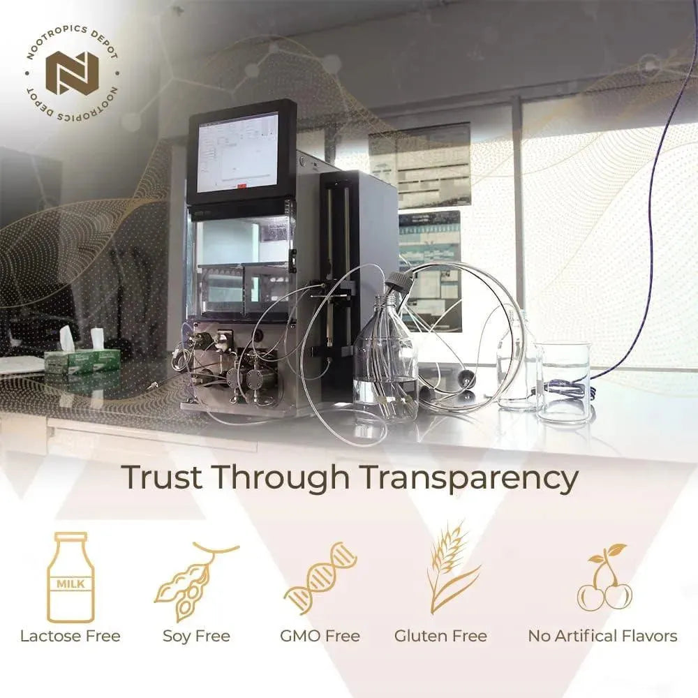 NOOTROPICS DEPOT - Nootropics Depot Lions Mane Mushroom Capsules 500Mg. 60 Capsulas - The Red Vitamin MX - Suplementos Alimenticios - {{ shop.shopifyCountryName }}