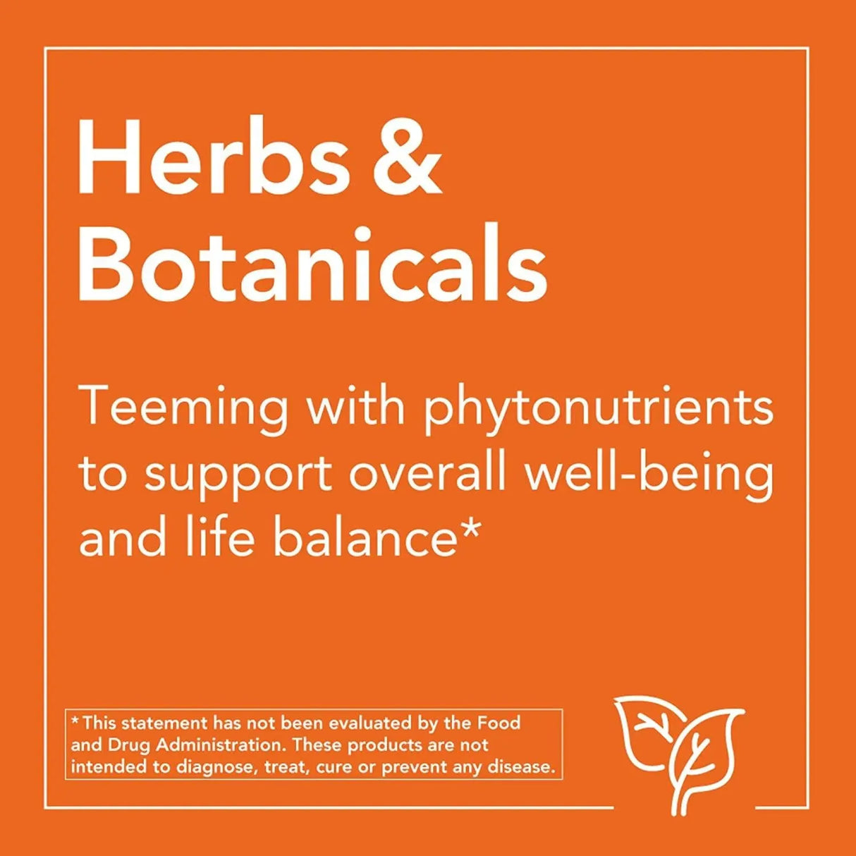 NOW SUPPLEMENTS - NOW Supplements Panax Ginseng (Root) 500Mg. 100 Capsulas - The Red Vitamin MX - Suplementos Alimenticios - {{ shop.shopifyCountryName }}