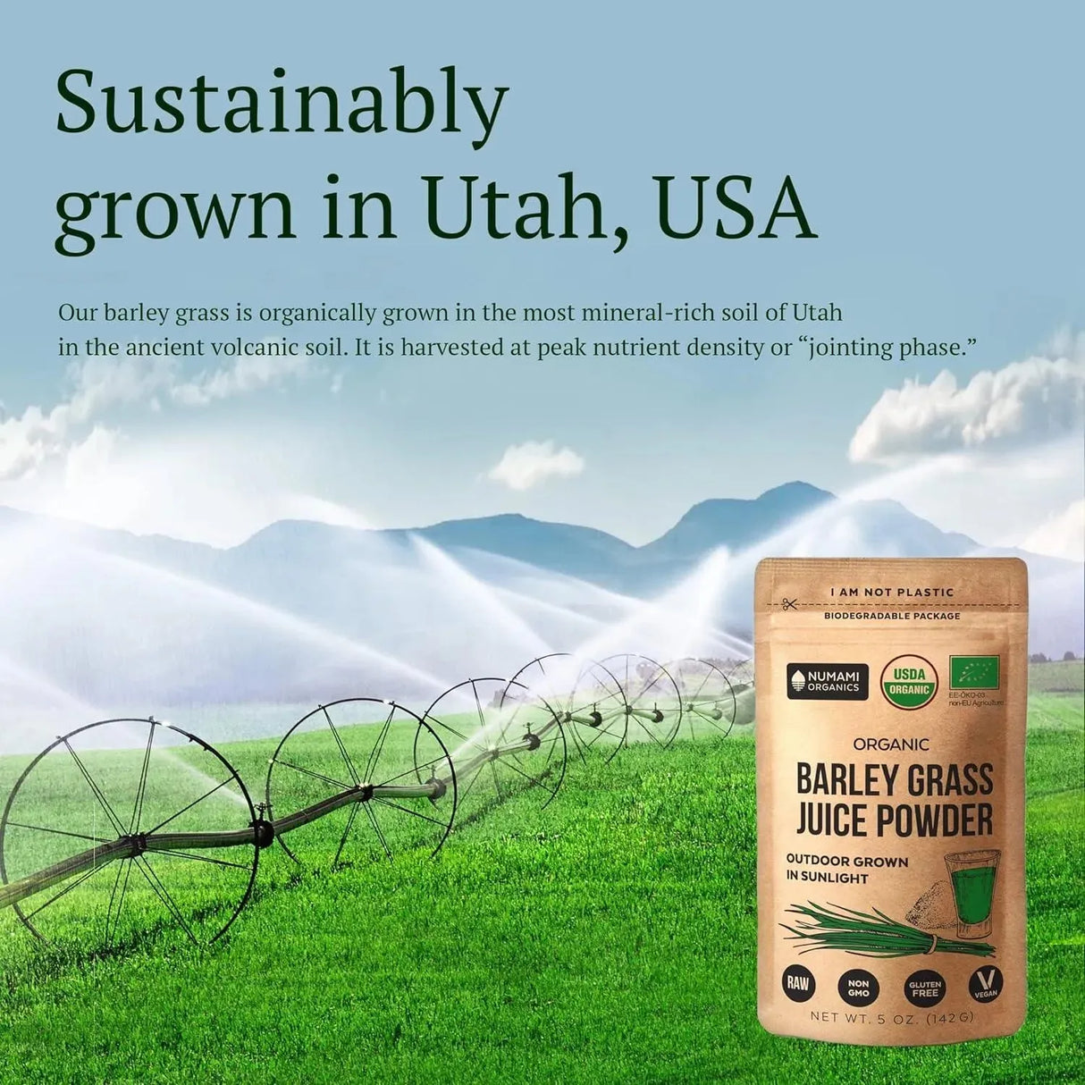 NUMAMI - Numami Organic Barley Grass Juice Powder 142Gr. - The Red Vitamin MX - Suplementos Alimenticios - {{ shop.shopifyCountryName }}