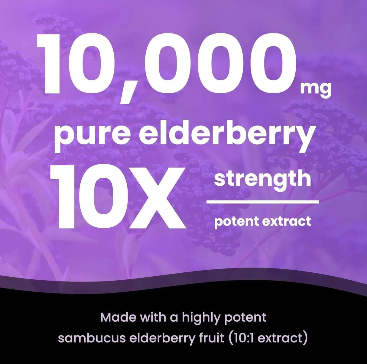 NUTRACHAMPS - NutraChamps Elderberry Capsules 120 Capsulas - The Red Vitamin MX - Suplementos Alimenticios - {{ shop.shopifyCountryName }}
