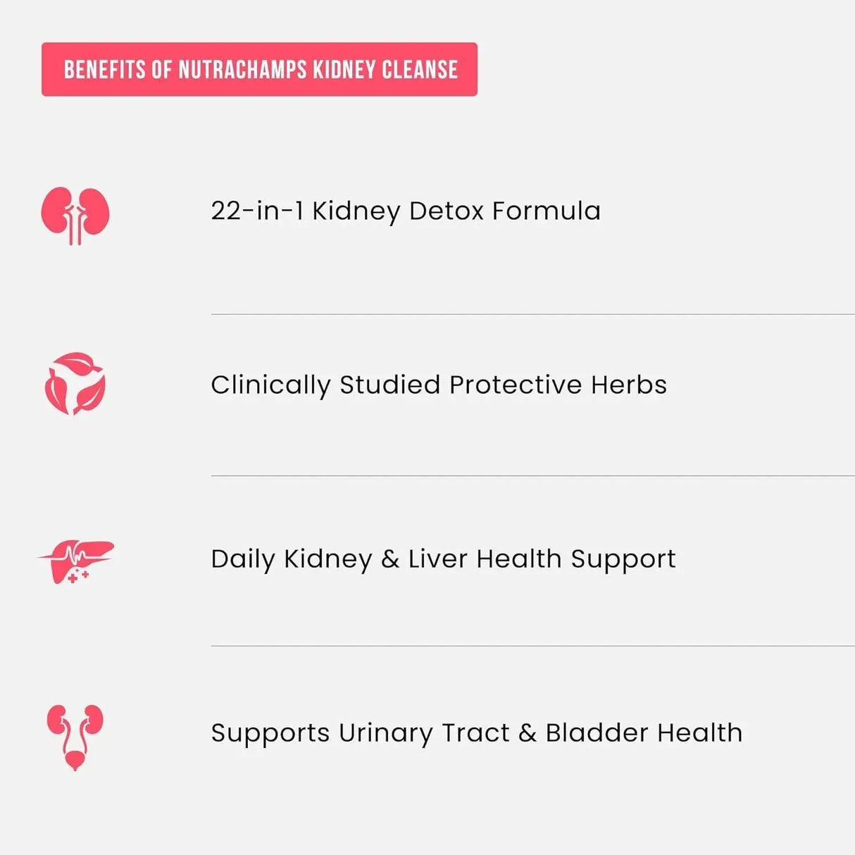 NUTRACHAMPS - NutraChamps Kidney Cleanse Detox & Repair 60 Capsulas - The Red Vitamin MX - Suplementos Alimenticios - {{ shop.shopifyCountryName }}