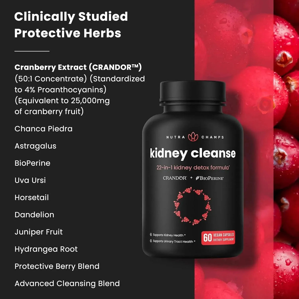 NUTRACHAMPS - NutraChamps Kidney Cleanse Detox & Repair 60 Capsulas - The Red Vitamin MX - Suplementos Alimenticios - {{ shop.shopifyCountryName }}