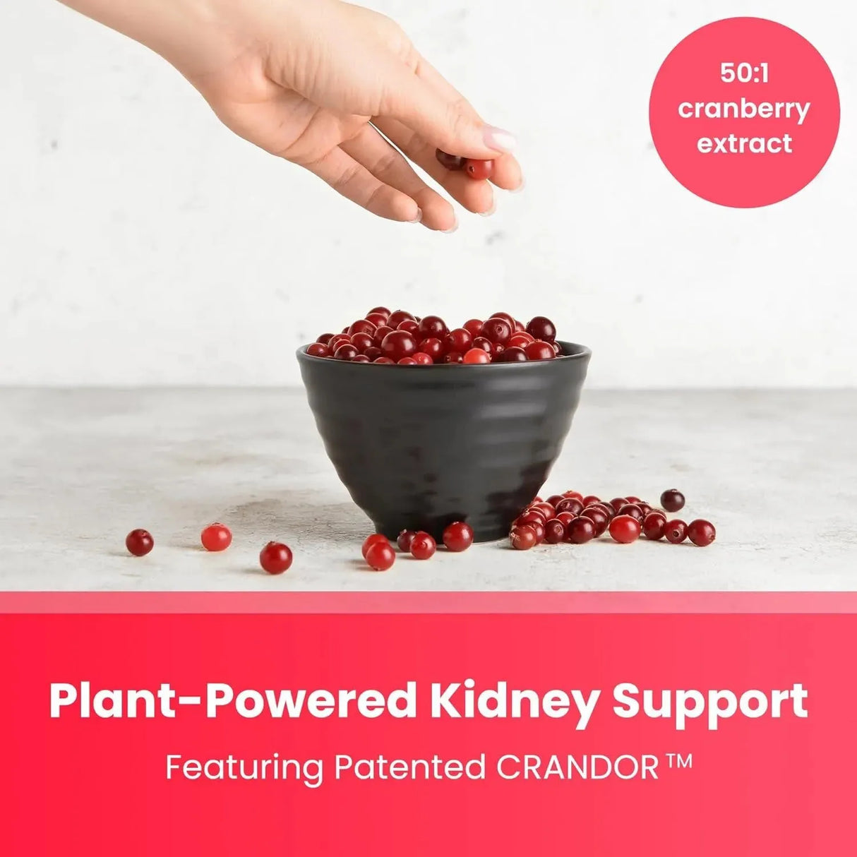 NUTRACHAMPS - NutraChamps Kidney Cleanse Detox & Repair 60 Capsulas - The Red Vitamin MX - Suplementos Alimenticios - {{ shop.shopifyCountryName }}
