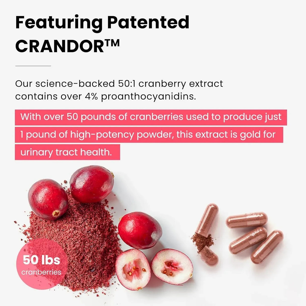 NUTRACHAMPS - NutraChamps Kidney Cleanse Detox & Repair 60 Capsulas - The Red Vitamin MX - Suplementos Alimenticios - {{ shop.shopifyCountryName }}