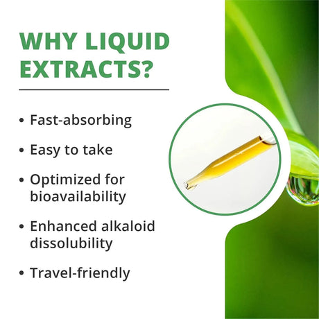 NUTRAMEDIX - NutraMedix Barberry Immune Support & Antioxidants Supplement 1 Fl.Oz. - The Red Vitamin MX - Suplementos Alimenticios - {{ shop.shopifyCountryName }}