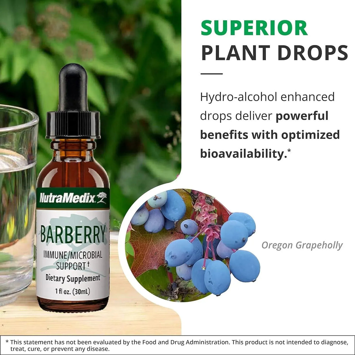 NUTRAMEDIX - NutraMedix Barberry Immune Support & Antioxidants Supplement 1 Fl.Oz. - The Red Vitamin MX - Suplementos Alimenticios - {{ shop.shopifyCountryName }}